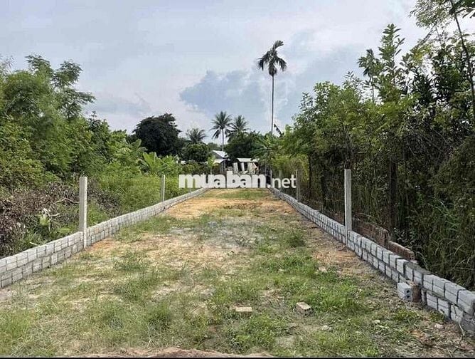 Bán đất La Thọ 2 cách trục đường DH3 50m