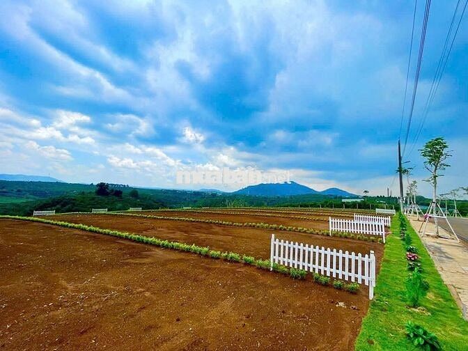 CHÍNH CHỦ BÁN GẤP ĐẤT BẢO LỘC KDC ĐÔNG CÁCH CAO TỐC LIÊN KHƯƠNG 2 KM