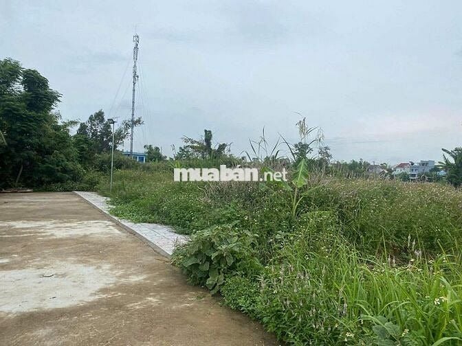CẦN BÁN ĐẤT GẦN HÒA TIẾN GIÁ TỐT CHO CÔNG NHÂN HOẶC ĐẦU TƯ