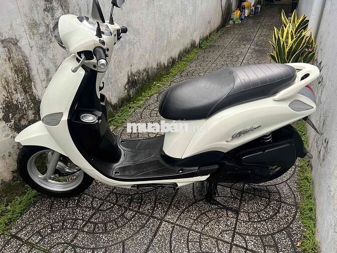 yamaha nozza fi bs65 zin đẹp