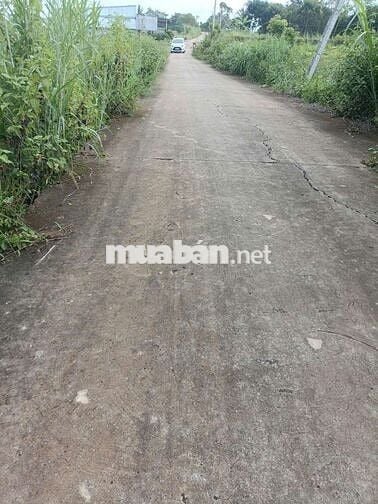Bán đất thổ cư giá rẻ  .Giá 380 triệu 1 nền 200 m 2 . sổ sẵn