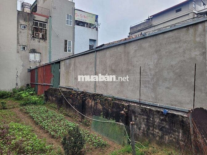 Rẻ nhất LONG BIÊN 74m2 đất ô tô 5 chỗ vào đất , đất đẹp