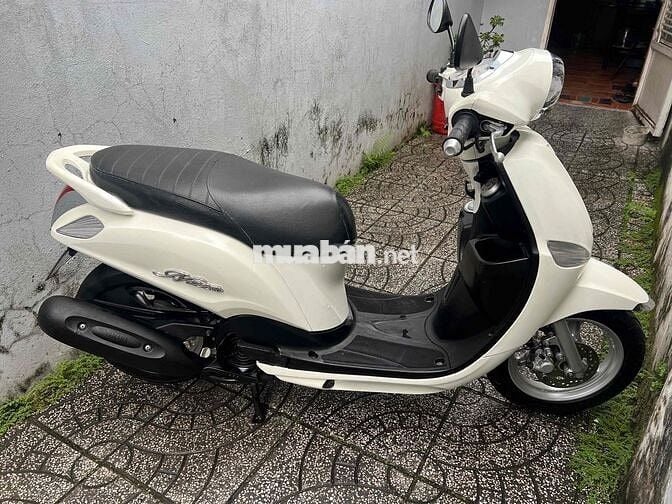 yamaha nozza fi bs65 zin đẹp