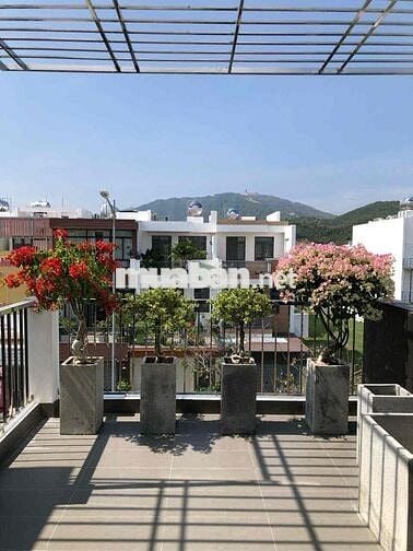 CHO THUÊ NHÀ Ở VÀ KINH DOANH MỸ GIA VĨNH THÁI MỚI ĐẸP GIÁ CHỈ 17 TRIỆU