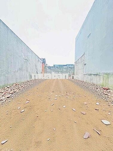 🇻🇳🇻🇳🇻🇳BÁN ĐẤT ĐƯỜNG NGUYỄN BÌNH PHÚ XUÂN NHÀ BÈ
