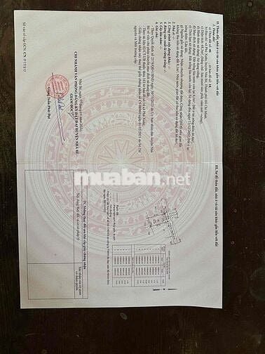 🇻🇳🇻🇳🇻🇳BÁN ĐẤT ĐƯỜNG NGUYỄN BÌNH PHÚ XUÂN NHÀ BÈ