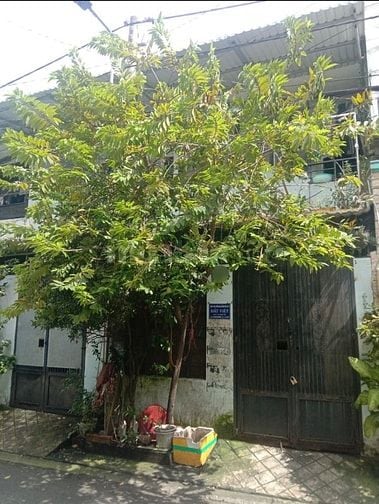 ⭐️Nhà 1 Lầu DT:8x17m hẻm xe tải 7m Huỳnh Văn Nghệ, P12, Q.Gò Vấp.