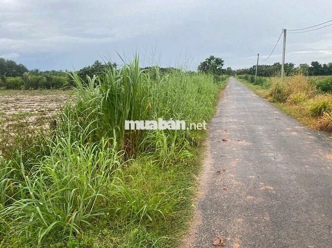 BĐS THỔ CƯ XÂY TRỌ 700M 2TỶ THƯƠNG LƯỢNG