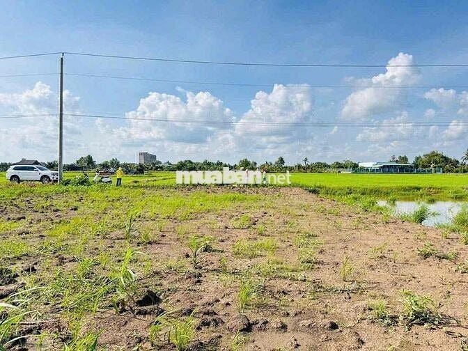 thổ+lúa thích hợp xây cất nhà vườn
