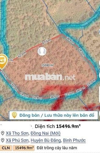ĐẤT RẪY CÀ PHÊ - ĐIỀU 1,6ha xã Phú Sơn