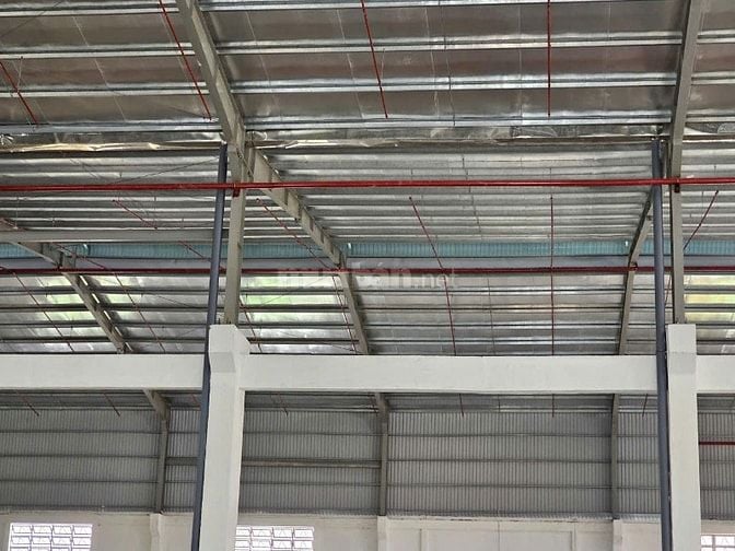 Cho thuê kho 2.800m² PCCC tự động, mới xây tại Trần Đại Nghĩa,Bình Tân