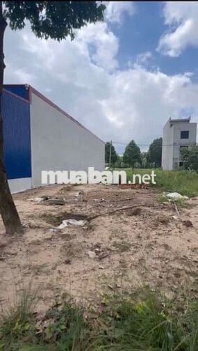 DT:150m2 full thổ cư đất ở đô thị - kcn Becamex Bàu Bàng BÌNH DƯƠNG