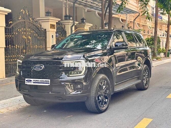 Everest Sport 2024