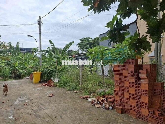 Đất 71M2 An Phú Đông 09 Quận 12