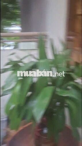 CHO THUÊ LÂU 1, 60M2, NHÀ CHUNG CƯ NGAY KHU K300, 7TR/THÁNG