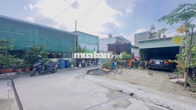 Đất 100m2 gần BigC Go, phường Đông Hoà, Tp Dĩ An
