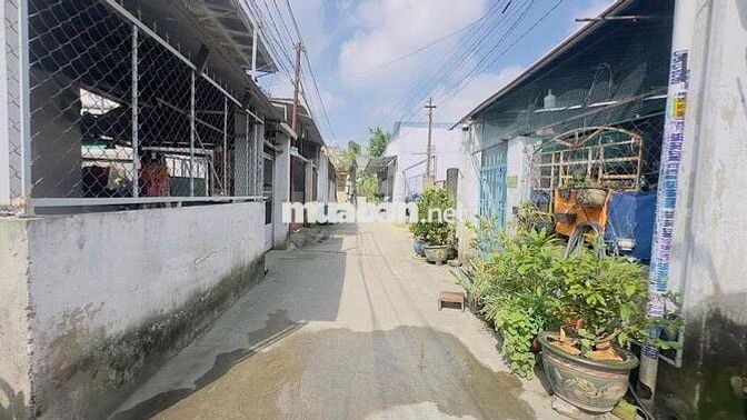 Đất 100m2 gần BigC Go, phường Đông Hoà, Tp Dĩ An