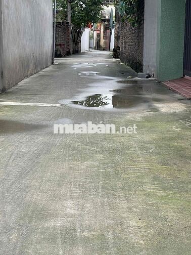 Bán đất Cổ Dương -Tiên Dương- Phúc Thịnh - đất xây biệt thự - 98m² - m