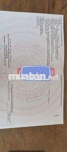 (KIỆT 6M) ĐẤT KIỆT TÔ HIỆU-HOÀ MÌNH THÔNG BÀU NĂNG