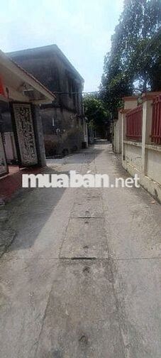 Bán đất đại đồng đại mạch đông anh HN 45.9m2 3.8 tỉ