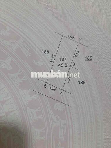 🌟 BÁN ĐẤT ĐẸP DT 45,8m – GIÁ TỐT – GẦN DỰ ÁN VIN BĂC HỒNG 🌟 🌟 BÁN ĐẤT ĐẸP DT 45,8m – GIÁ TỐT – GẦN DỰ ÁN VIN BĂC HỒNG 🌟