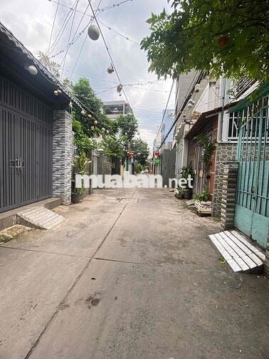 Rẻ, Hiếm, Nhà Tạ Quang Bửu, P3,Q8, Chỉ 4 tỷ, 61m2(5mx12,5m)