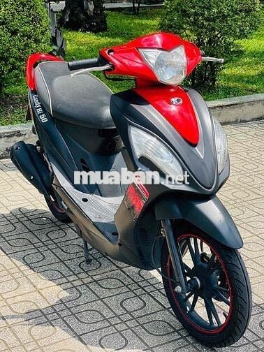 candy hi 50cc biển tp