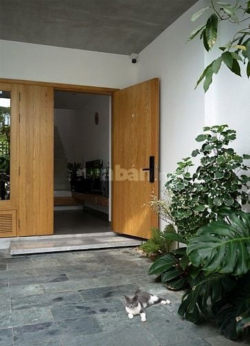 Bạn có muốn sở hữu một sân vườn, lối đi với đá tự nhiên cao cấp? 