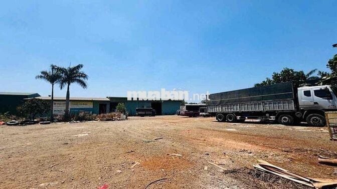 Cho Thuê Kho 200m2 đường 10/3 - Sân bãi rộng
