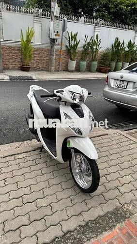 Vision 2025 bao giấy