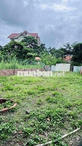 BÁN ĐẤT HXH - ĐƯỜNG LÊ VĂN LƯƠNG- NHƠN ĐỨC- NHÀ BÈ-  GIÁ 5,25 TỶ