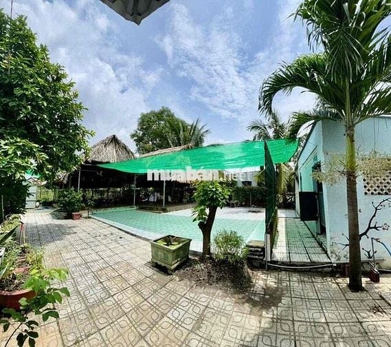 Cho thuê mặt bằng 1200m2, phường Phước Tân, Biên Hoà, Đồng Nai.