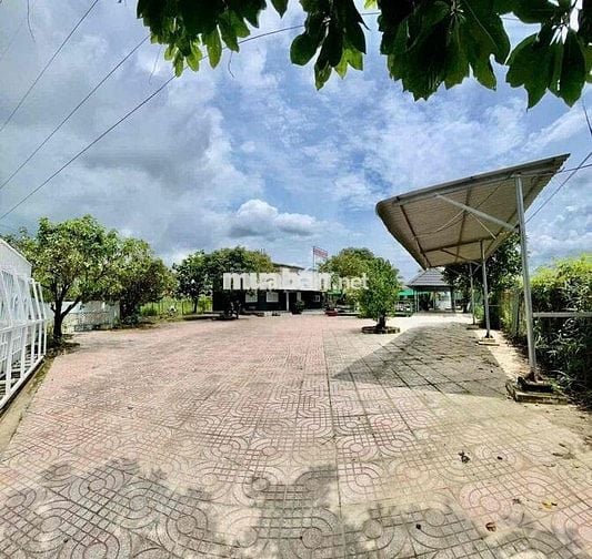 Cho thuê mặt bằng 1200m2, phường Phước Tân, Biên Hoà, Đồng Nai.