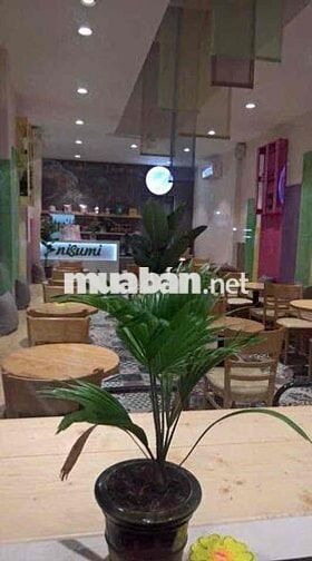 🏡MẶT TIỀN KINH DOANH NGAY VƯỜN LÀI-ĐƯỜNG 10M CÓ LỀ-NỞ HẬU–90M2