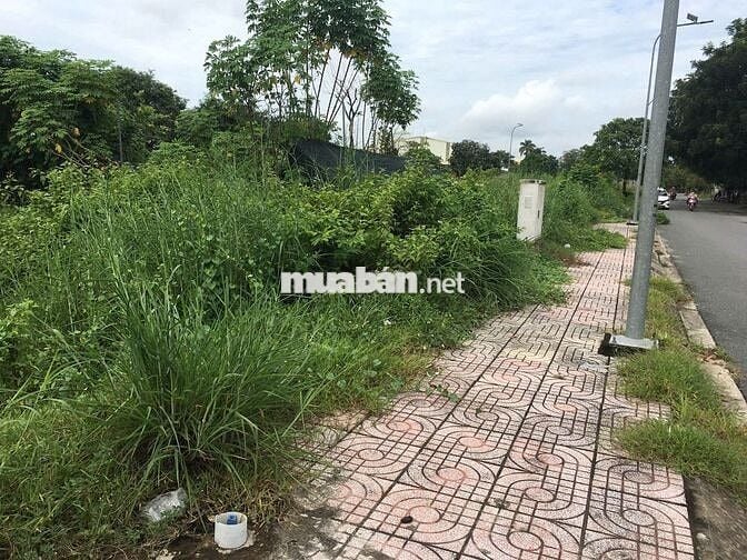 ĐẤT TÂN PHÚ TRUNG GIÁ ĐẸP 110M2 GIÁ CHỈ 670TR SHR, MT ĐƯỜNG NHỰA