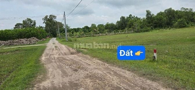 Đất thổ nhà vườn Nhơn Trạch giá rẻ 2,1ty/470m. Gần 25C. SR chính chủ.