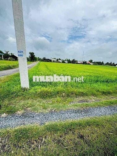 Chính chủ gửi đuờng cây xăng nguyễn thị chính hoà khánh nam 9m nở hậu
