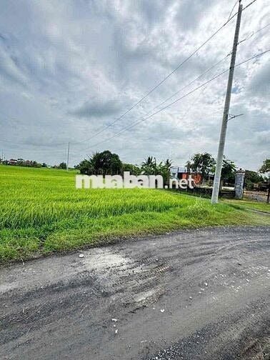 Chính chủ gửi đuờng cây xăng nguyễn thị chính hoà khánh nam 9m nở hậu