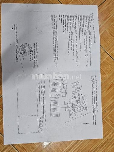 Cần bán nhà lớn, có sân rộng và sân thượng, DT 316m2