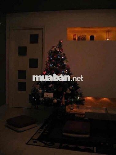 CHO THUÊ PEN HOUSE SỐ 1 TÔN THẤT THUYẾT QUẬN 4 | 18 TR 3PN 2WC | 102M2