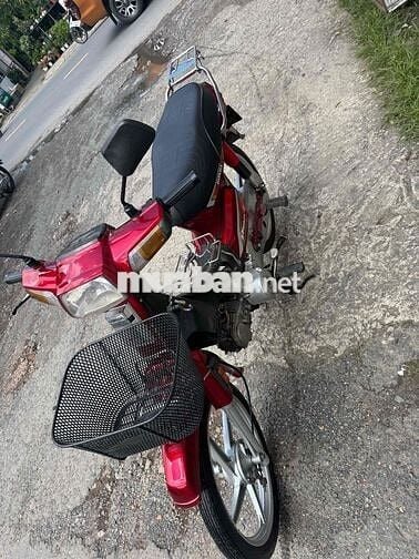 honda -citi bstp