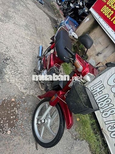 honda -citi bstp