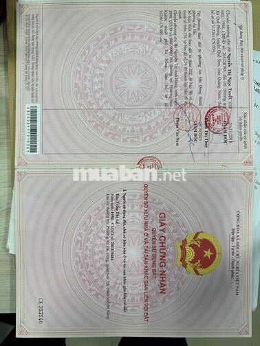 Bán nhà mặt tiền 109 Phạm Quang Ảnh