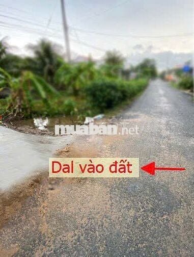 Chỉ còn 1 công đất vườn đẹp ở Nhơn Bình, Trà Ôn (cũ)!