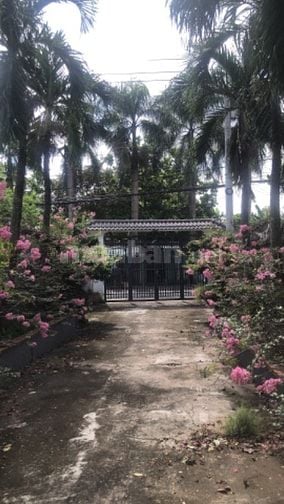 Biệt thự 2 mặt tiền có hồ cá koi