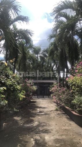 Biệt thự 2 mặt tiền có hồ cá koi