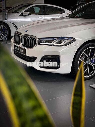 BMW 5 Series 2022 530i M Sport Xe Mới  🇩🇪