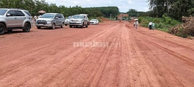 - ĐƯỜNG XUYÊN TÂM TÂN HƯNG-TÂN LẬP RỘNG 32M