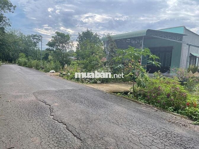 Tiềm Năng Sinh Lời,Đất Nhà Vườn,500m2 Giá 900TR,kv An Sơn,Thuận An,SHR