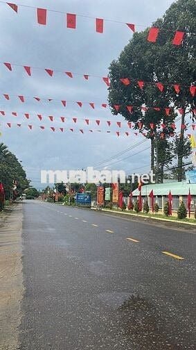 CHỦ NGỘP BÁN GẤP NHÀ VƯỜN RỘNG 2500M2 THỔ CƯ SHR CÓ SẴN CÂY ĂN TRÁI